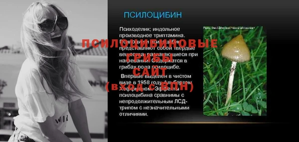 сатива Алексеевка