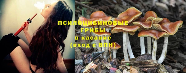 сатива Алексеевка